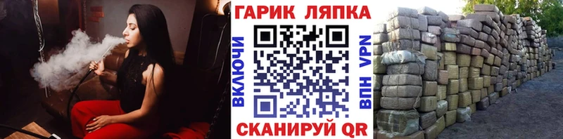 купить наркотик  Новая Усмань  Гашиш Изолятор 