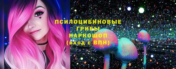 прущие крисы Белоозёрский