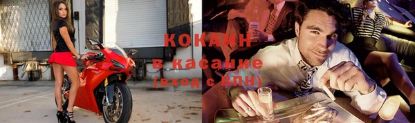 бошки Белокуриха