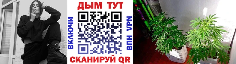 Бошки Шишки Bruce Banner  blacksprut ССЫЛКА  Новая Усмань 